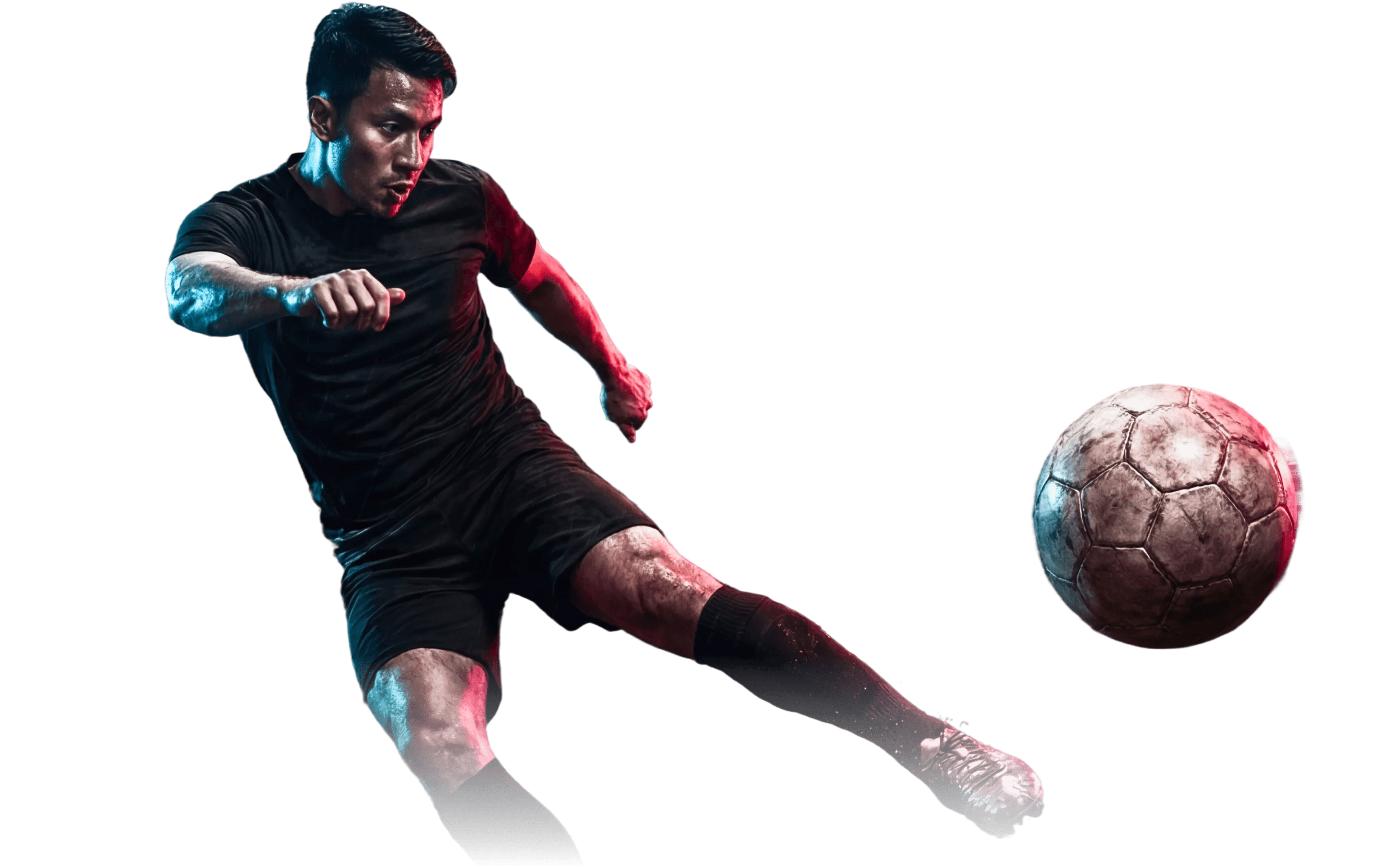 about section banner